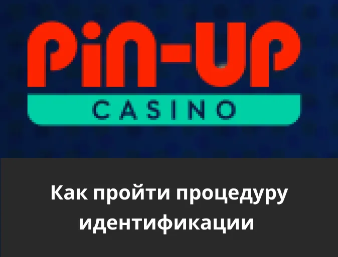 процедура идентификации pin up