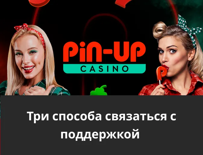 связь с поддержкой pin up