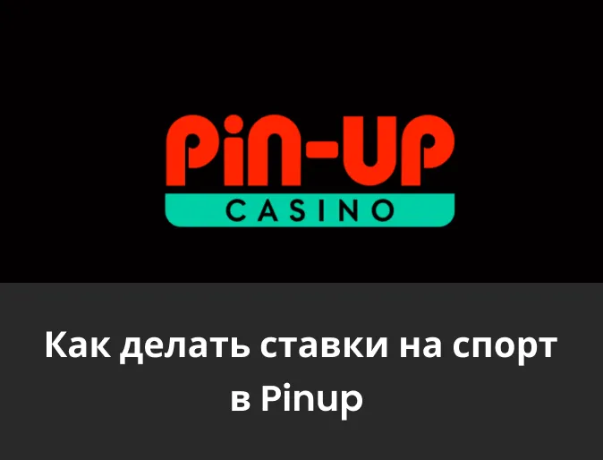 ставки на спорт в pin up